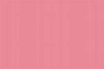 Asian Paints PPG Pink Epoxy Phenolic Coatings 20 Ltr_0