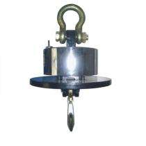 Endeavour 50 ton Crane Scale Digital ± 5 kg OCS-SWH6-50_0