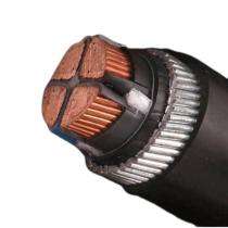 2 Core PVC Armoured Control Cables_0