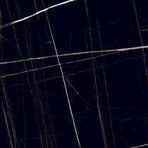 Kajaria 600 x 600 mm Black Glossy Vitrified Tile_0