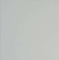 Asian Paints PPG Epoxy Mastic Coatings 20 Ltr_0