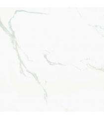 Geogres Paradise 600 x 600 mm White Glossy Vitrified Tile_0