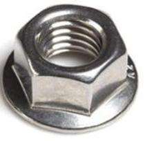 Stainless Steel Flange Nuts M25_0