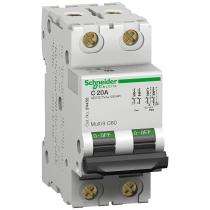 Schneider Electric Three Pole 2 A C Curve MCB_0