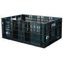 Aristo Vegetable HDPE 500 kg 1 - 4 ft Crates_0