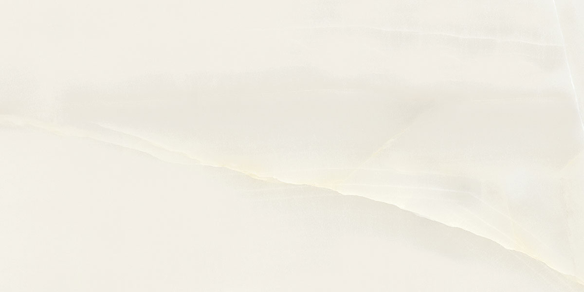 Blackberry SR BZ 3020 600 x 600 mm White Glossy Ceramic Tile_1