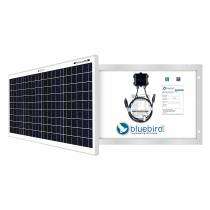 Bluebird Solar Solar Panel_0