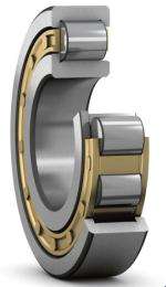 SKF NUP 305 ECML Roller Bearings Cylindrical Steel_0