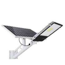 AES 15 W Warm White LED Aluminium 65 Ah Solar Street Light_0