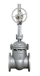 Flow Biz 2 - 36 inch Manual Stainless Steel, WCB Gate Valves Flanged_0