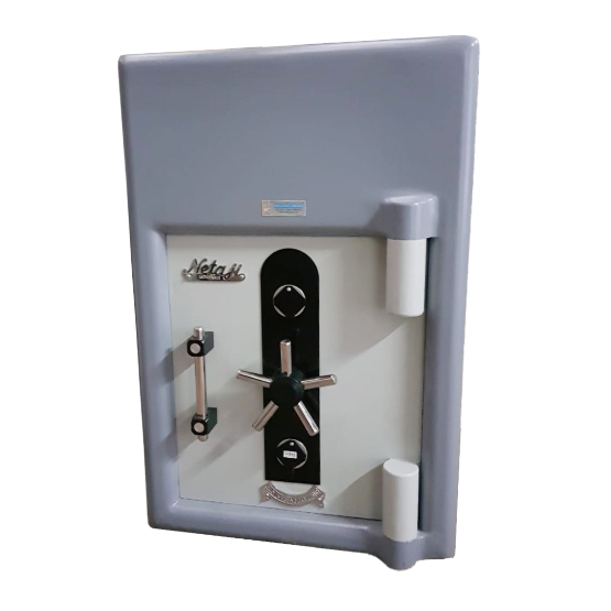 Netaji Mild Steel 10 Lever Dual Control Safety Lockers 29 x 20 x 25 inch PPS42_4