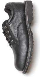 Caterpillar Leather Steel Toe Safety Shoes Black_0