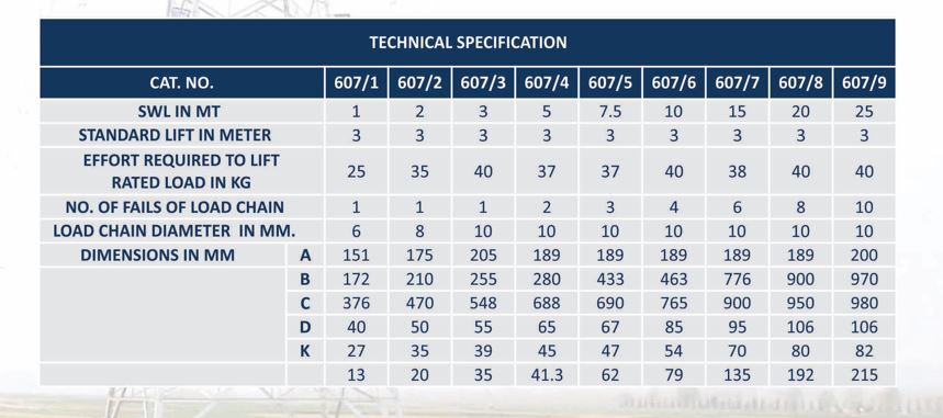 NIKE 2 metric ton Chain Pulley Block 3 m 35 kg_1