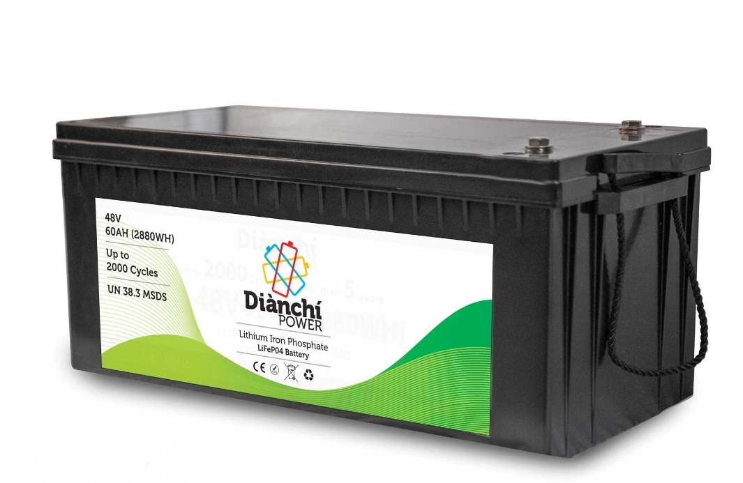 Dianchi 6000 mAh 3.2 V Lithium Ion Batteries_3
