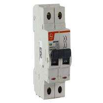 L&T Double Pole 40 A C Curve MCB_0