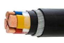 Aluminium XLPE Flat Steel Strip XLPE LT Power Cables 1 Core 2.5 - 1000 sqmm 1.1 kV_0