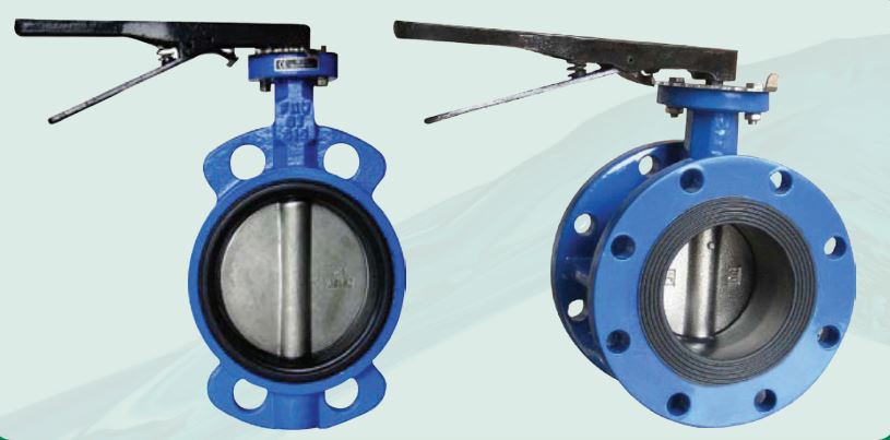 Royal Tech Valve 15 - 50 mm Lever Operated CI Butterfly Valves Wafer_1