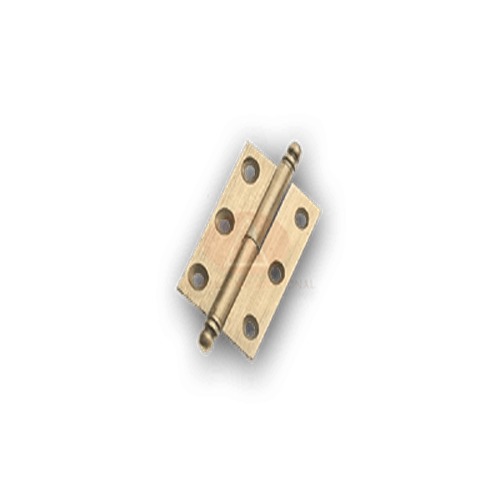 Apollo Brass Door Hinges_2
