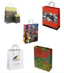 Paper Printed Packaging Bag_0