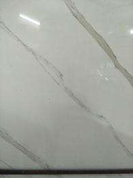 Shree Laxmi traders Polished Marble Tiles_0