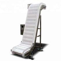 Automatic Inclined Conveyor Machine_0