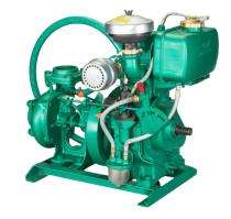 5 HP Diesel Pumps 25 m_0