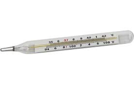 Analog Glass Mercury Thermometer -37 to 356 deg C_0