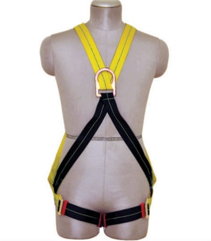 Buy Polyester Full Body Simple Hook Single Rope Safety Harness L online at  best rates in India