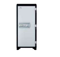 Godrej Steel Pad Safety Lockers 169 L Centriguard 1060_0