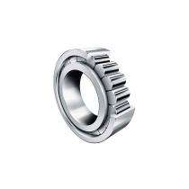 FAG Single Row Cylindrical Roller Bearing NJ2224 EM_0