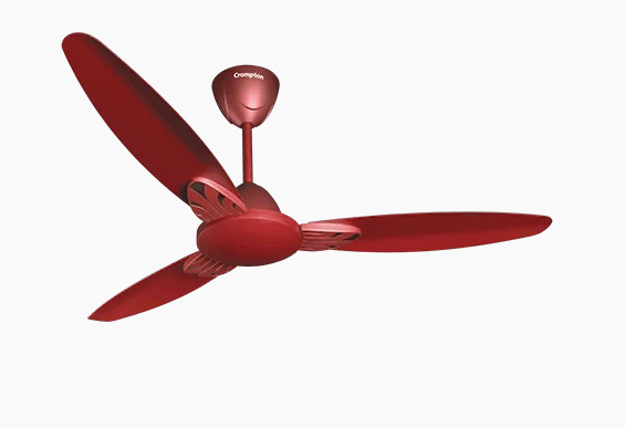 Crompton Standard 900 mm 3 Blades 60 W Maroon Matt Ceiling Fans_0