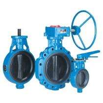 Audco 600 mm Manual Cast Iron Butterfly Valve Lever, Electric Actuator_0