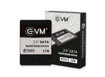 EVM 1 TB Internal SSD Hard Drive SSD SATA Black_0