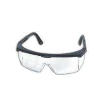 Zoom Plastic Safety Goggles Punk_0