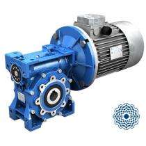 0.37 kW Worm Gear Motor Upto 16500 Nm_0