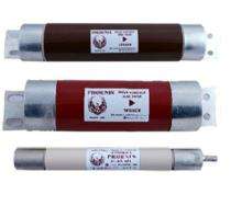 PHOENIX 3.3 KV Cartridge Fuse High Voltage HRC Fuse Up to 80 kA_0