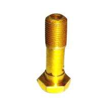 Zenith 2 - 20 mm Brass Hexagon Head Bolts 100 mm_0