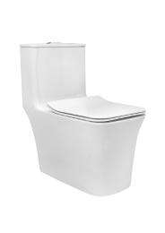 Parryware EWC with Seat Cover and Flush Inslim Single Piece Floor_0