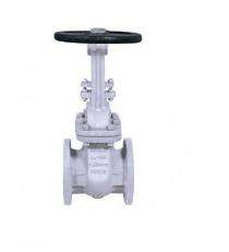 ATAM 40 - 600 mm Manual Copper Clad Steel Gate Valves Flanged AV- 288_0