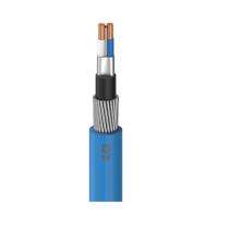 Polycab 2 Core Stranded (Class-2) Copper 0.75 sqmm PVC Insulated GS Flat Strip Armour FRLS PVC Shielded Instrumentation Cable 300, 500 V Blue_0