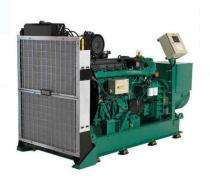 Volta Penta Power 10 - 250 kVA 20 - 300 L Diesel Generators_0