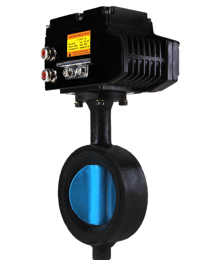 Castle DN 40 - DN 400 Motorized CI Butterfly Valves Flanged PN 10_0