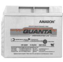 AMARON 12V42AH Sealed 12 V 42 Ah Lead Acid Batteries_0