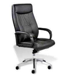 Revolving Black 1080 x 635 x 605 mm Stainless Steel Office Chairs_0