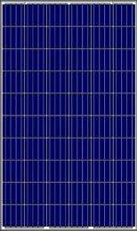Goldi Green Solar 100 W Solar Panel_0