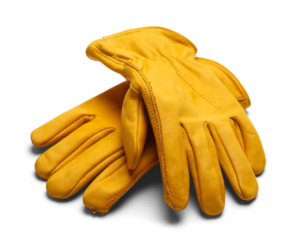 Buy Electrical Leather Safety Gloves Standard online at best rates