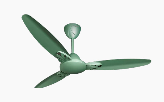 Crompton Standard 900 mm 3 Blades 60 W Olive Green Ceiling Fans_0