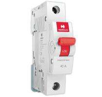 HAVELLS 63 A SP MCB ISOLATOR Single Pole 63 A B Curve MCB_0