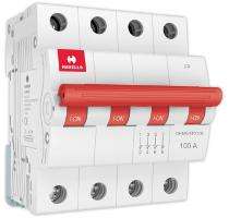 HAVELLS 40 A FP MCB ISOLATOR Four Pole 40 A B Curve MCB_0