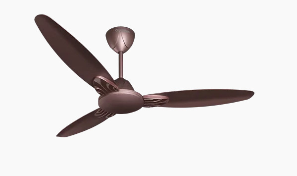 Crompton Standard 900 mm 3 Blades 60 W Roast Brown Ceiling Fans_0